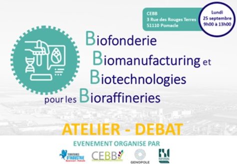 CEBB - Atelier débat biofonderie / biomanufacturing / biotechnologies pour les bioraffineries - Septembre 2023