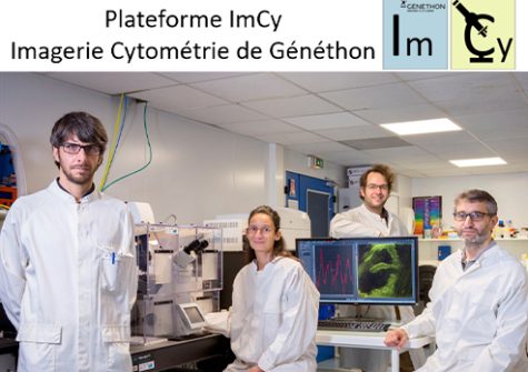 L'équipe de a plateforme d’imagerie - cytométrie de Généthon - Réseau OCCIGEN