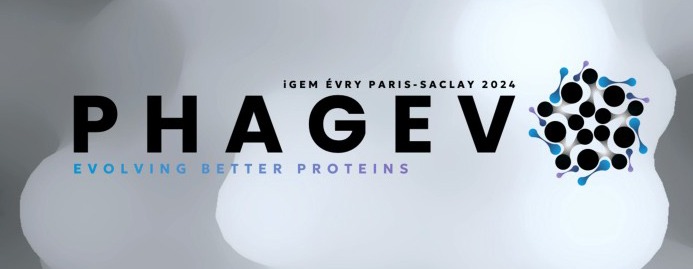 PHAGEVO - équipe iGEM Evry Paris Saclay 2024 - soutenue par Genopole