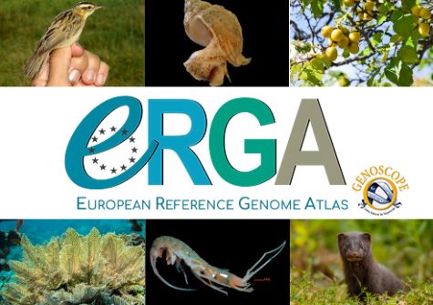 ERGA - Atlas européeen - Genoscope - plateforme de séquençage