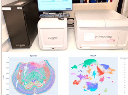 La technologie de transcriptomique spatiale - MERFISH - au sein de la plateforme d’histologie – anatomocytopathologie