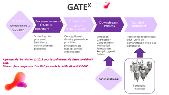 chaine de valeurs - GATEx